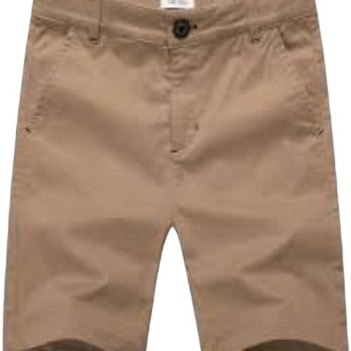 Plain Brown Boys Shorts