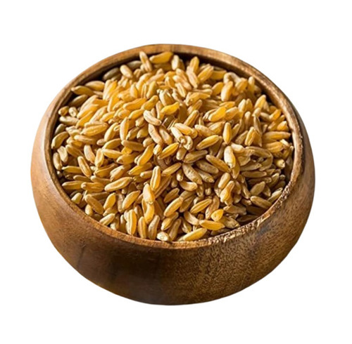 Wheat Grains