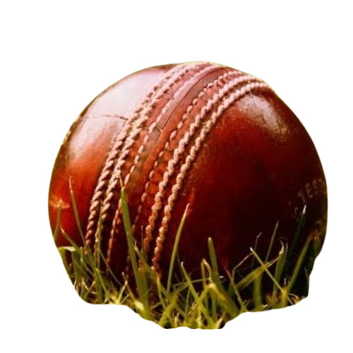 Cricket Leather Ball