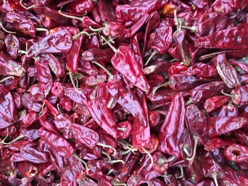 Chapata Dry Red Chilli