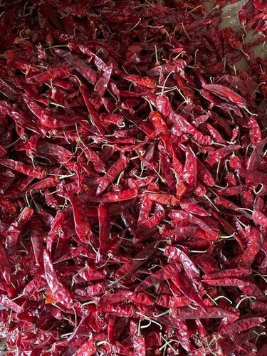 Dry Red Chilli