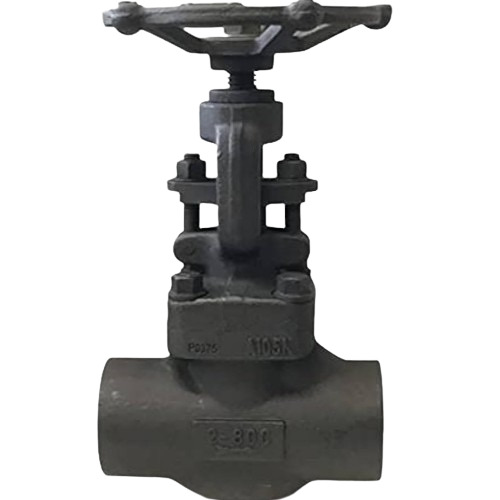 Forged Steel Globe Valve