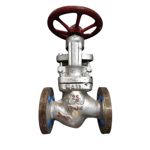 Stainless Steel Globe Valve