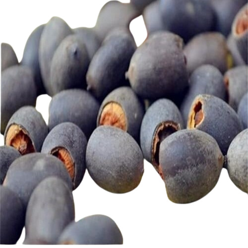 Water Lotus Seed