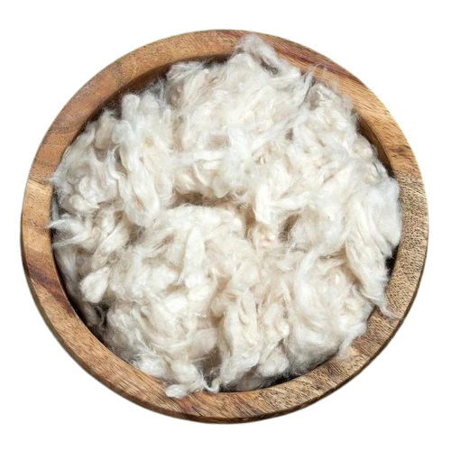 Organic Kapok Cotton