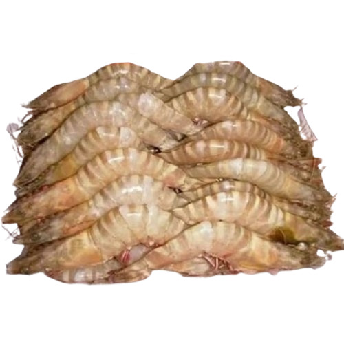 Frozen Prawns