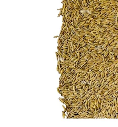Paddy Rice - Color: Brown