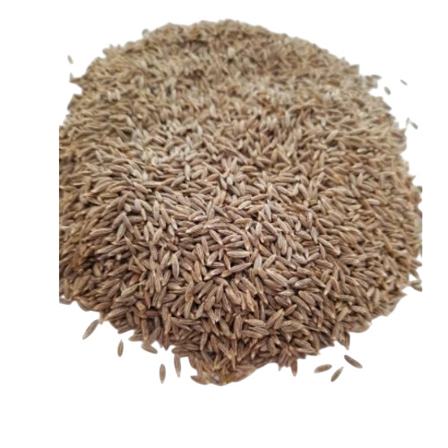 Cumin Powder