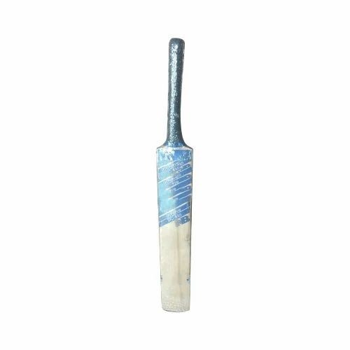 Kashmiri Bat - Age Group: Adults
