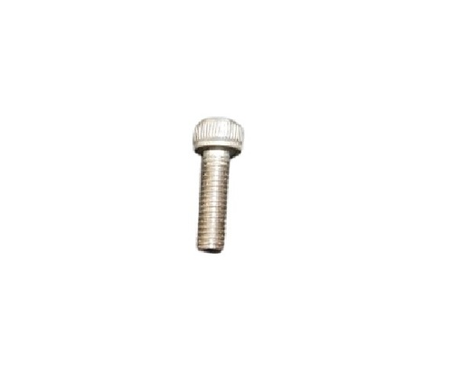 Allen Bolt 6x20 Ss 202