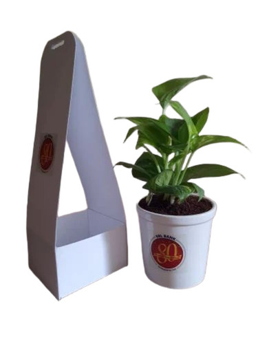 Eco Friendly Plant Pots