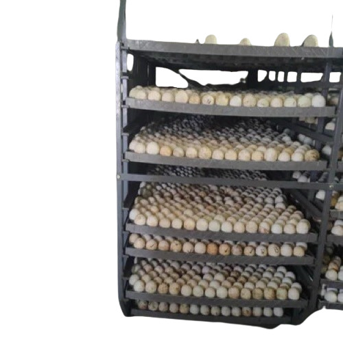 Fully Automatic Duck Chicken Egg Incubator