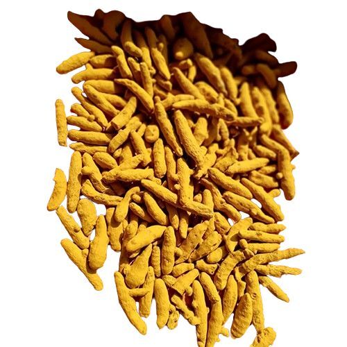 Turmeric Finger