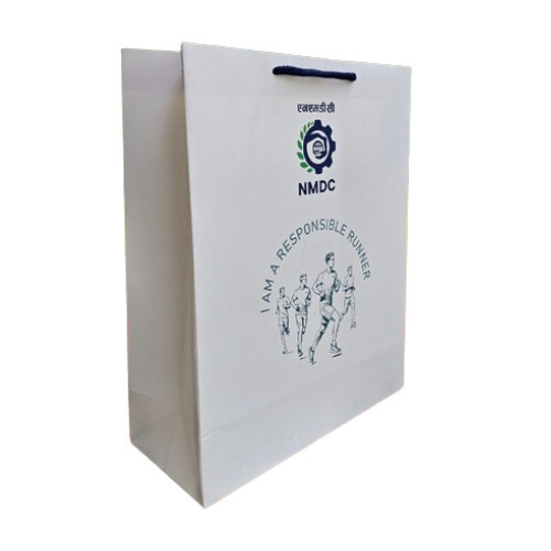 Custom Printed Paper Bag For All Events