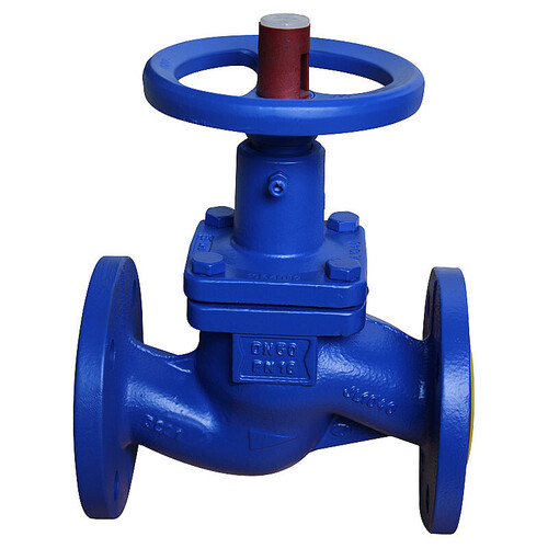 Globe Valve