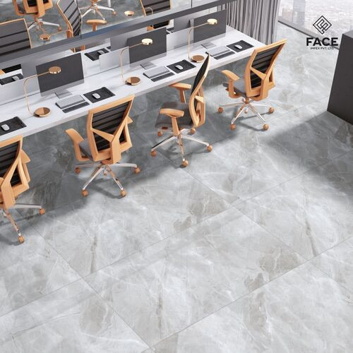 Porcelain Floor Tiles Dlg 5 - Color: White And Grey
