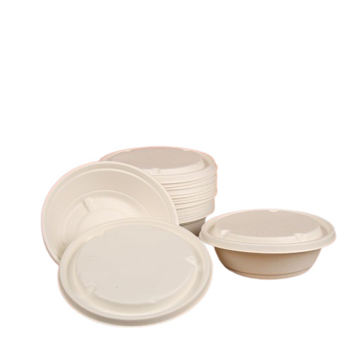 White Disposable Food Container