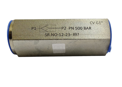 1/2 Inch SS Non Return Valve