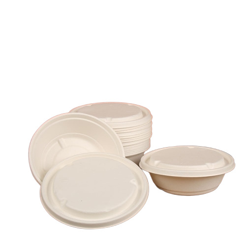 Disposable Food Container