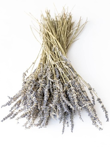 Dried Lavender Flower