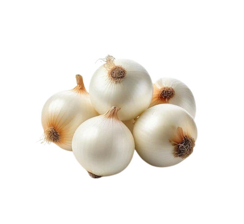 White Onion
