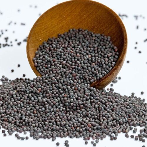 Organic Mustard Seed