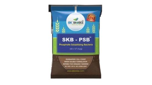 Phosphate Solubilizing Bacteria - Purity(%): 99.9%