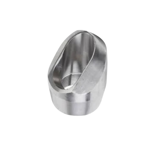 Stainless Steel Forged Fittings