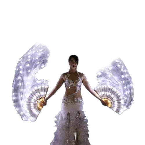 Led Handfan Silk Cloth