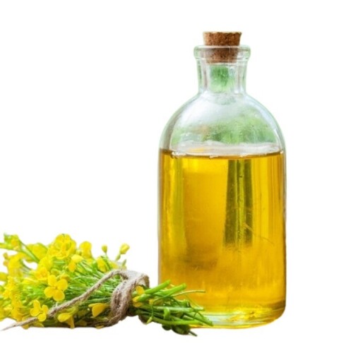 Sunflower Oil - Cultivation Type: Common