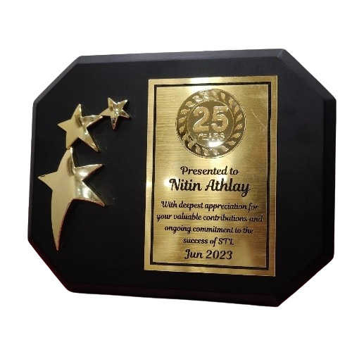 Fiber Ring Wooden Plaque