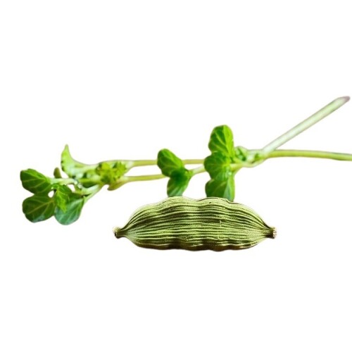 Green Cardamom