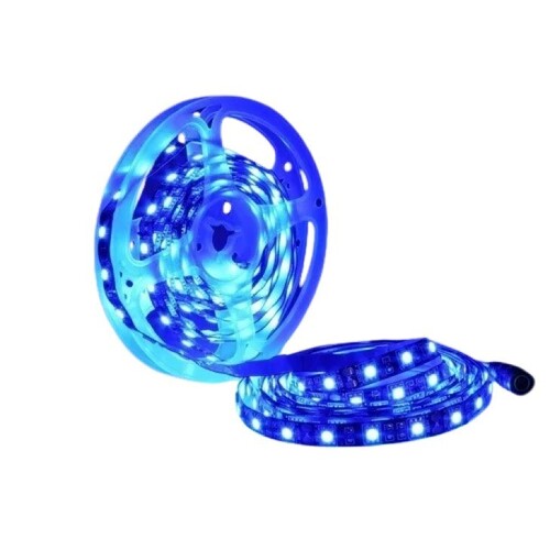 PVC LED Strip Light