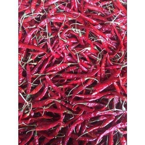 Dry Red Chilli By Deepak & Company