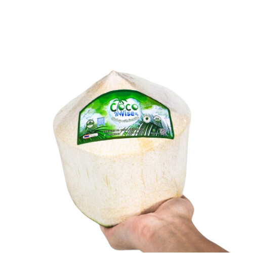 Fresh Coconut Green Semi Husk Coconuts - Color: White