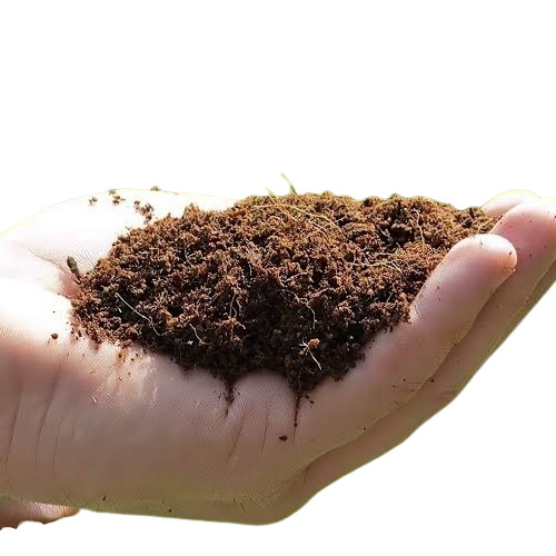 Brown Coir Powder