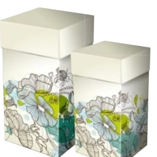 Printed Paper Packaging Box