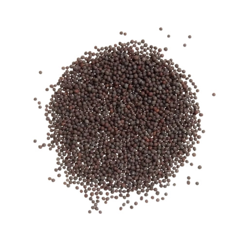 Black Mustard Seed