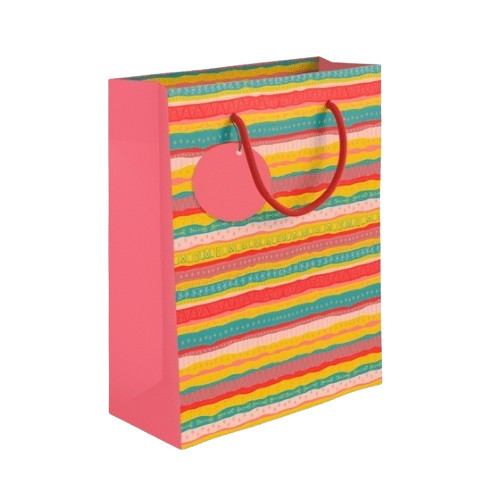 Multi Color Paper Bag