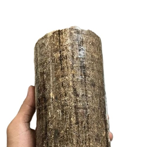 Sawdust Briquette