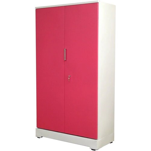 2 Door Designer Iron Almirah
