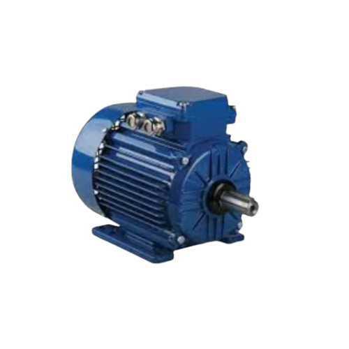 Electric Induction Motor