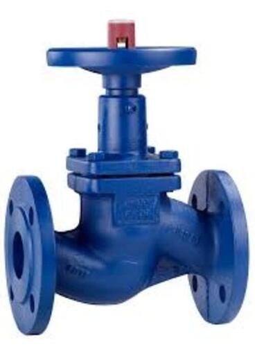 Globe Valve