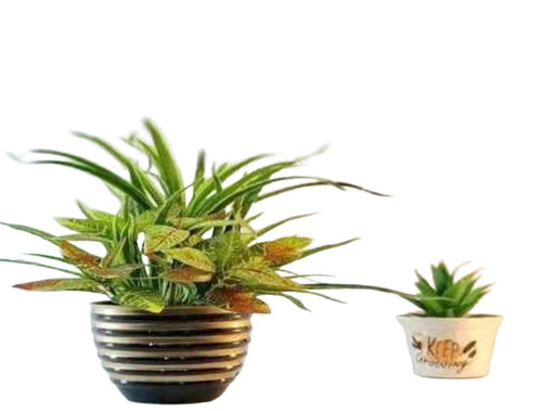 Metal Designer Pot
