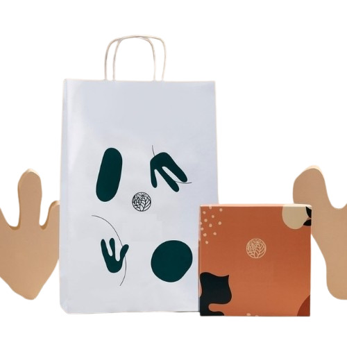 Designed Paper Bags