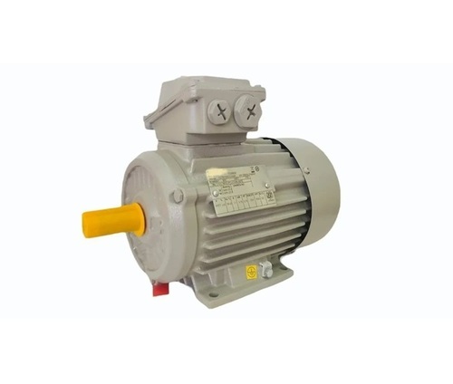 Industrial Electric Motor
