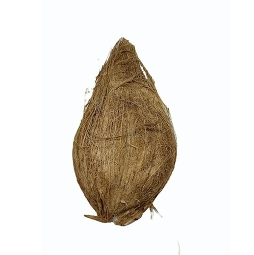 Semi Husked Coconut