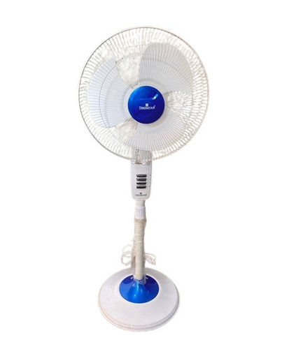 Pedestal Fan
