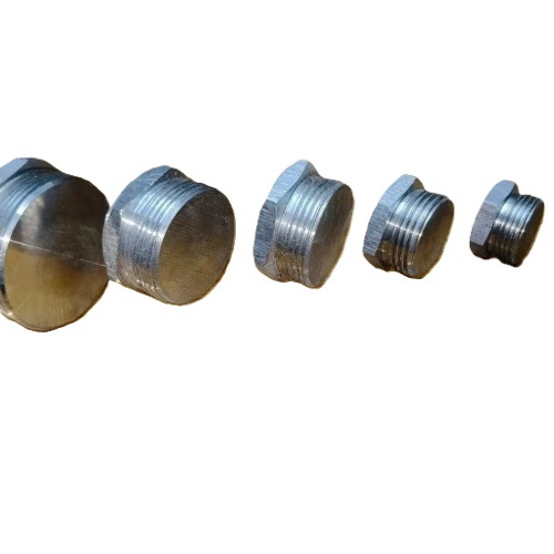 Stainless Steel Hex Pipe Plug