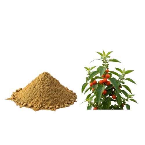 Ashwagandha Extract